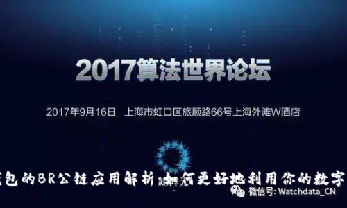 TP钱包的BR公链应用解析：如何更好地利用你的数字资产