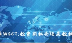 虚拟币WSCT：投资新机会还是投机泡沫？