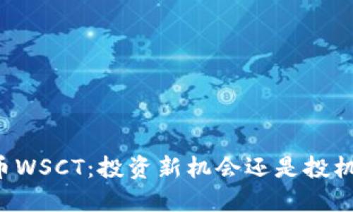 虚拟币WSCT：投资新机会还是投机泡沫？