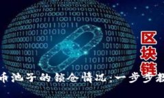 如何查明虚拟币池子的锁仓情况：一步步教你评