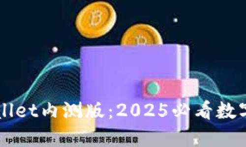 立即下载TPWallet内测版：2025必看数字资产管理工具