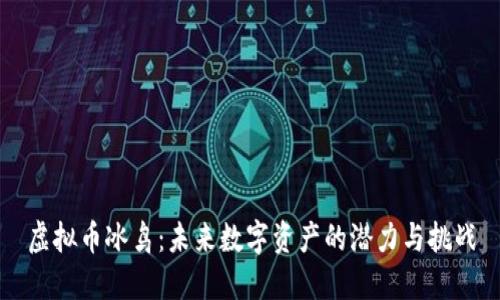 虚拟币冰鸟：未来数字资产的潜力与挑战