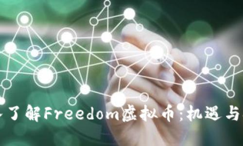 深入了解Freedom虚拟币：机遇与挑战