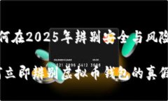 虚拟币钱包真假：如何在2025年辨别安全与风险优