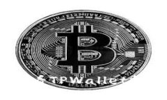  立即掌握！2025必看TPWallet批量查询余额的方法