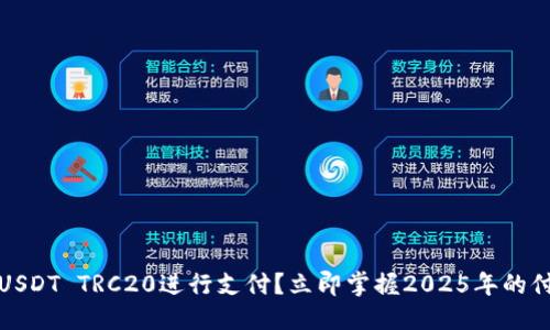 最优质的  
如何使用USDT TRC20进行支付？立即掌握2025年的付款新方式