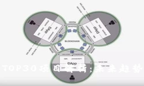 区块链行业TOP30项目解析：未来趋势与投资机会