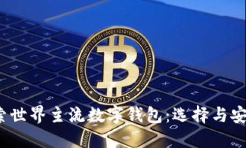  探索世界主流数字钱包：选择与安全性