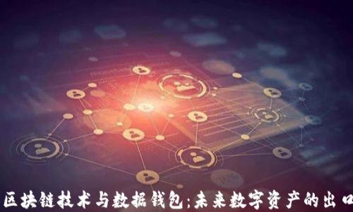 
区块链技术与数据钱包：未来数字资产的出口