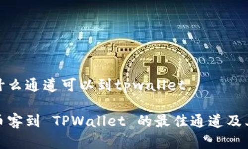 币客什么通道可以到tpwallet

探索币客到 TPWallet 的最佳通道及其优势