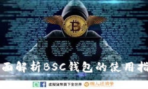全面解析BSC钱包的使用指南