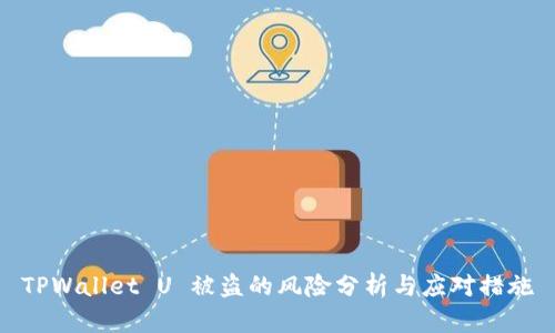 TPWallet U 被盗的风险分析与应对措施