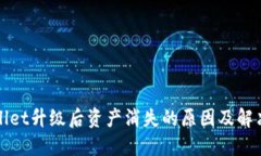 TPWallet升级后资产消失的原因及解决方案