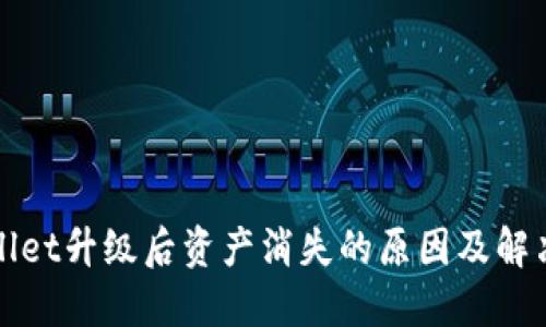 TPWallet升级后资产消失的原因及解决方案