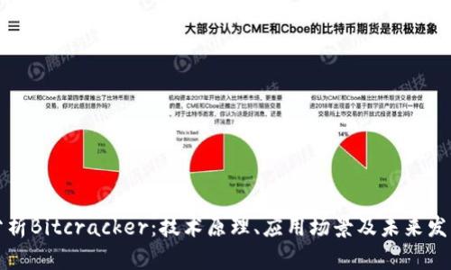 深入分析Bitcracker：技术原理、应用场景及未来发展趋势