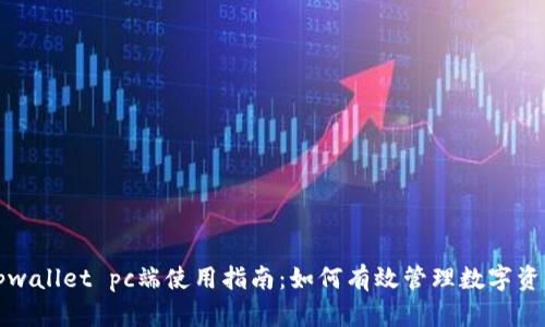 tpwallet pc端使用指南：如何有效管理数字资产