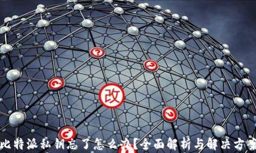 
比特派私钥忘了怎么办？全面解析与解决方案