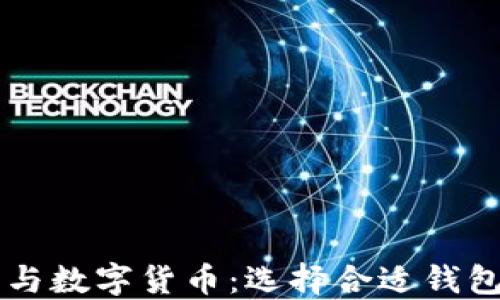 
区块链技术与数字货币：选择合适钱包的全面指南
